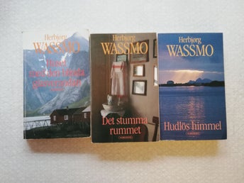 Huset med den blinda glasverandan av Herbjørg Wassmo, 1981