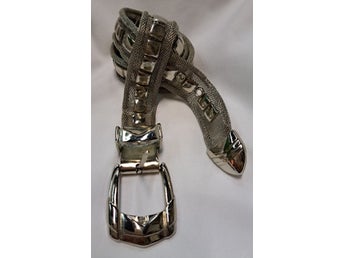 Vackert bä i metallegering metal belt