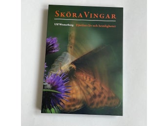 Sköra Vingar av Ulf Westerberg
