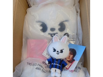 Stray Kids SKZOO Leebit TEDDYBEAR karma Plush Doll Passport 5’clock LeeKnow Set