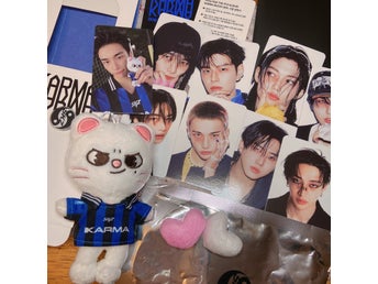 Stray Kids SKZOO KARMA Plush Doll Keyring Box Hyunjin Photo Card Jiniret