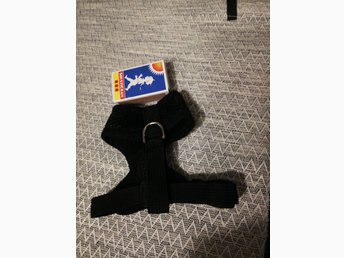mat till chihuahua valp mat till chihuahua valp