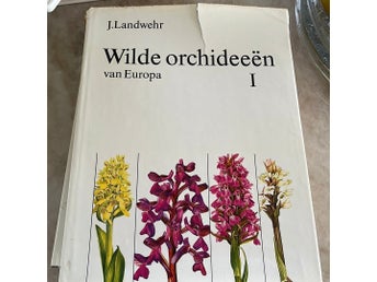 Vilda orkidéerna i Europa av van Europa I - J.Landwehr
