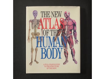 Vanio Vannini & Giuliano Pogliani – The New Atlas of the Human Body