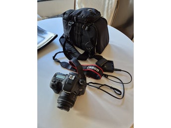 Canon EOS 7D Mark II + Canon EF-S 35mm f/2.8 Macro