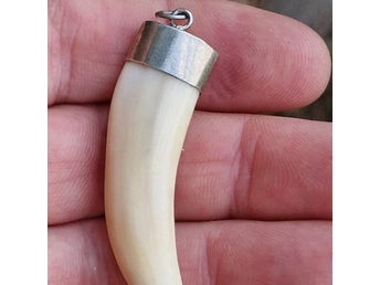 Vintage Silver-Monterad Ben/Tand Hänge Amulett (SIL Stämplad)