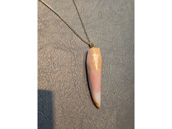 Lyckstenen i en fin halsband