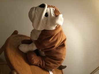 gosig bulldog