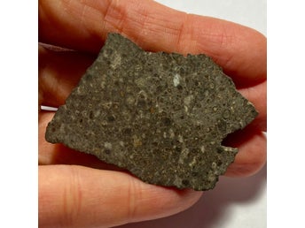 Väldigt sällsynt meteorit: Northwest Africa 15641 - Kondrit CK5-6 breccia - 28 g