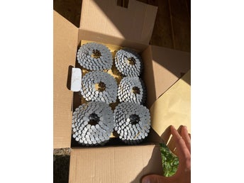 ScanFast Bandad pappspik 19 x 3,05 mm VFZ 2400st