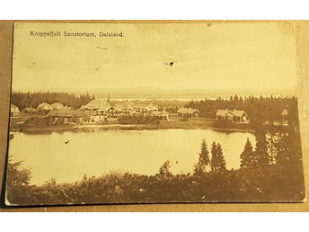 Kroppefjell Sanatorium Dalsland .. Dals Rostock .. Tidigt 1900-tal ..Tuberkulos