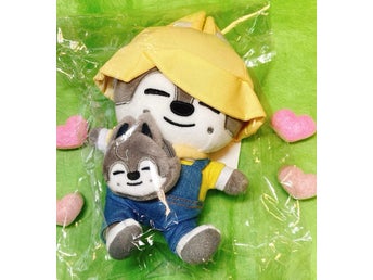 Stray Kids SKZOO 2025 Ltd POPUP STORE Plush Doll WolfChan Bang Chan New