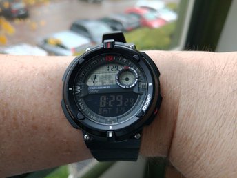 casio sgw600