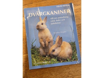 Dvärkaniner av Monika Wegler, 2002