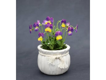 Konstgjorda penséer i vit kruka, handmade
