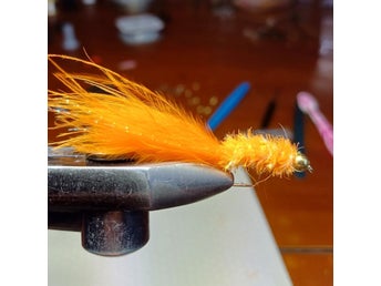 Guldskallar. 5st. Orange.