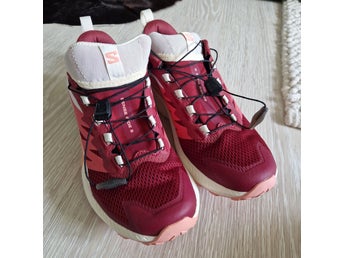 Salomon Sense Ride 5 Löparskor i rött