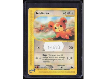 Teddiursa C