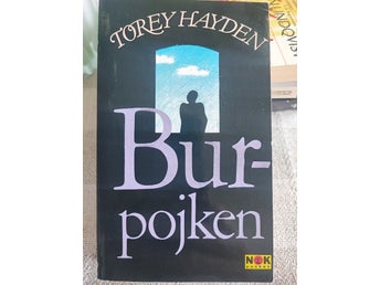 Burpojken av Torey Hayden, 1993