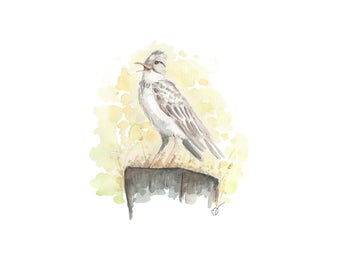Print - Sånglärka - A4