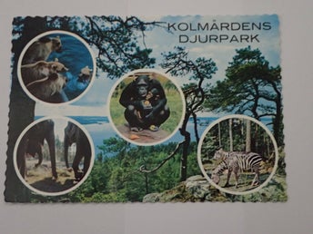 Kolmårdens Djurpark vykort! År 1973!