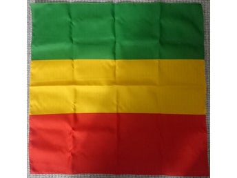 Rasta flagga väggprydnad 50 x 50cm
