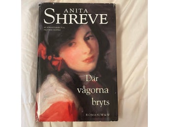 Där Vågorna bryts av Anita Shreve