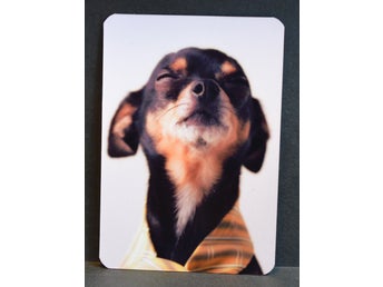 Kylskåpsmagnet med hundmotiv