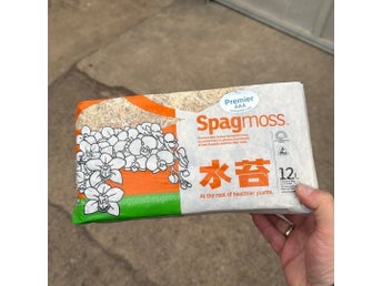 Spagmoss Sphagnum Mos för Växter