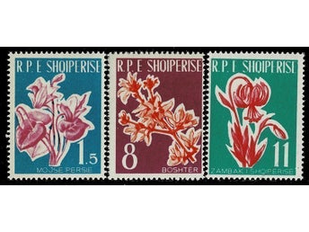 ALBANIEN 1961 Mi 633-635 BLOMMOR ** VÄRDE 180 KR