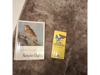 Sextio fåglar, Dag fjärilar