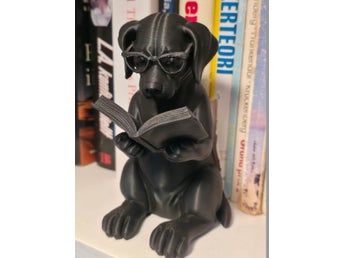 3d-printad läsande hund med glasögon & bok