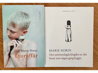 Marie Norin: Djuraffär & Den sammanlagda längden av alla broar som någon gång