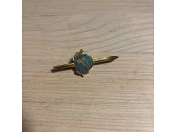 Pin / Nål - Åreskutans Topp