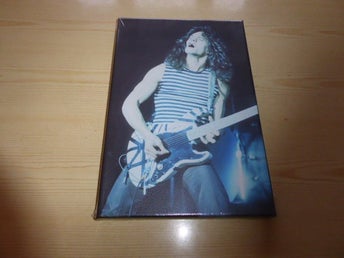 Ny Eddie van Halen canvastavla 20 cm x 30 cm #reapåtradera