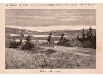 Träsnitt ”Utsikt vid Härnösand” ur bok från 1888