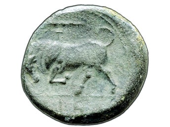 Sicilien, Syrakusa, Brons 20mm, Hieron II cirka 263-215 f.Kr
