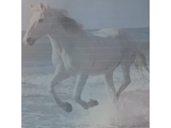 3 Blå Brevpapper Häst Galopperande på Strand Linjerade Papper A4 Unika Fina