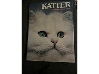 Katter - det bästa som finns, 1976