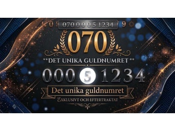 Guld nummer 07000051234