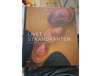 Livet i strandkanten, Lars-Ove Loo