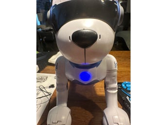 Action Zone Power Robot Hund med fjärrkontroll