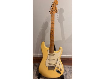 Fender Stratocaster Deluxe Roadhouse MIM 2014