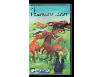 I säkraste laget - Hantera hästen rätt