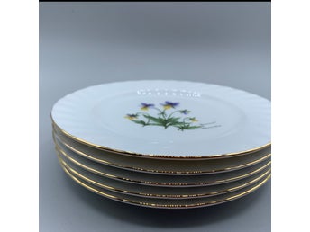 Hutschenreuther Weiden Bavaria W.Germany Assietter Svenska Landskap blommor