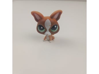 LPS Littlest Pet Shop Chihuahua #1548