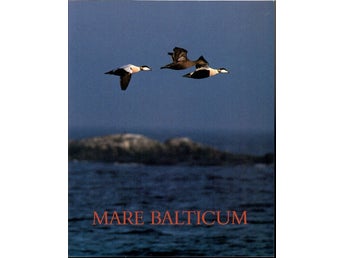 Mare Balticum