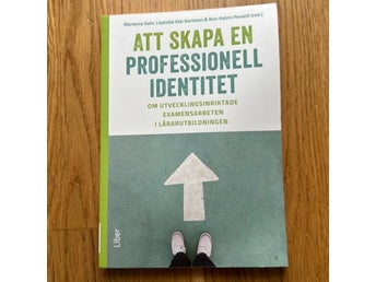 Att skapa en professionell identitet: Om utvecklingsinriktade examensarbeten i