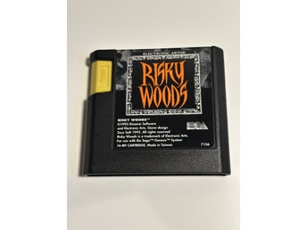 Risky Woods - Sega Mega Drive