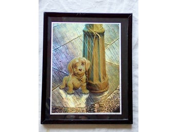 Inramat tryck, foil art, folierat, Nobody loves me Andrew Farley, 80-tal vintage